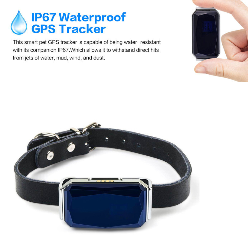 Localizador GPS para Mascotas - Rastreador Tiempo Real