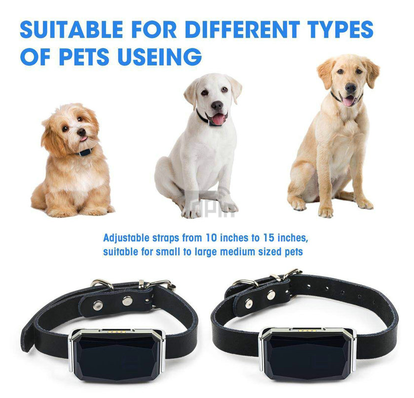 Localizador GPS para Mascotas - Rastreador Tiempo Real