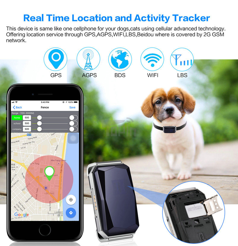 Localizador GPS para Mascotas - Rastreador Tiempo Real