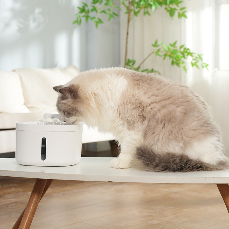 Dispensador de Agua Inalámbrico Inteligente - Acero Inoxidable