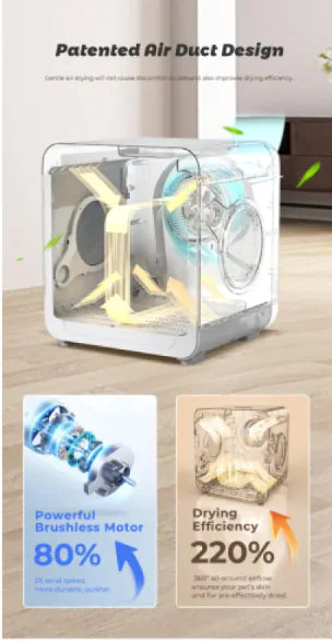 Sala de Secado Profesional para Mascotas - Grooming Premium